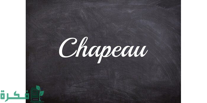 الرد على كلمة شابوه