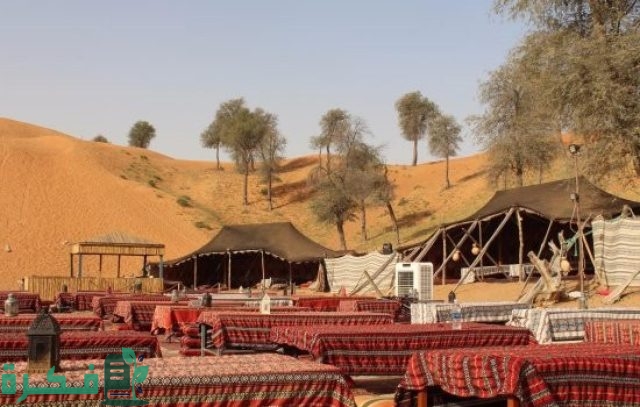 الزلامي وش يرجع