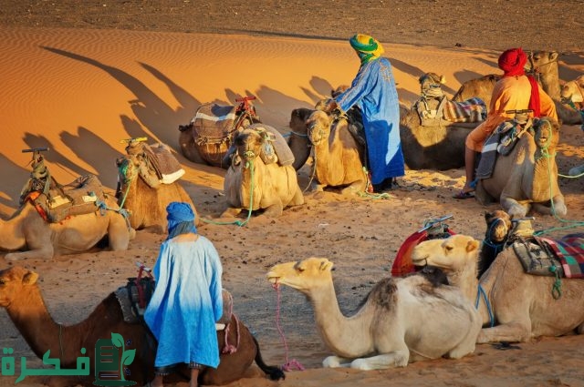 العويس وش يرجعون