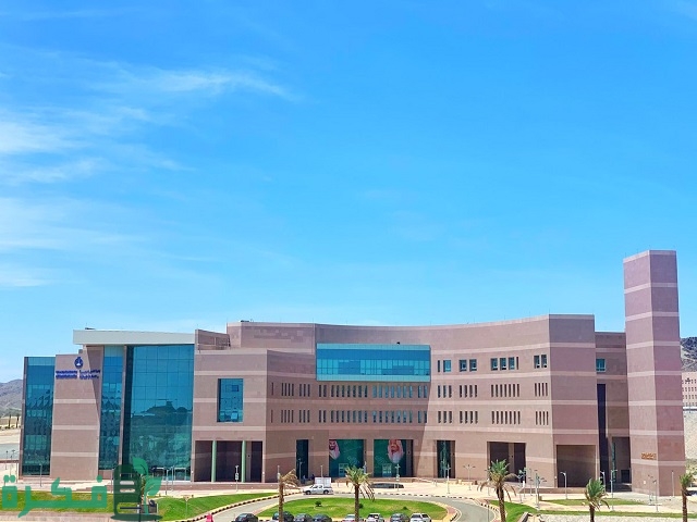 تخصصات جامعة الباحة ونسب القبول