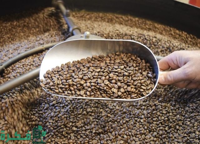 دراسة جدوى مشروع محمصة ومكسرات