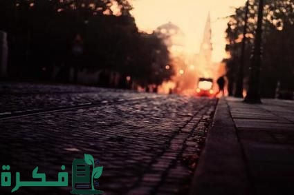 صور للتصميم