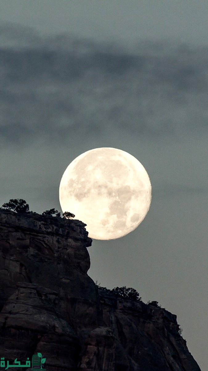 صور للتصميم