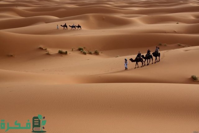 قبيلة العساف وش ترجع