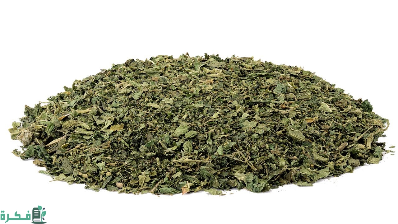 كيف نجفف النعناع