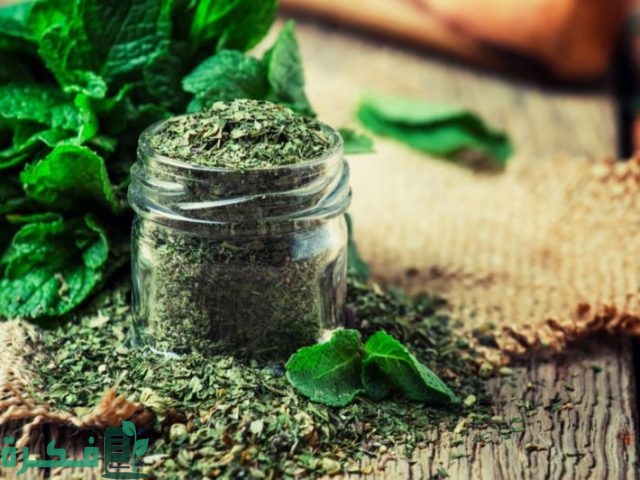 كيف نجفف النعناع