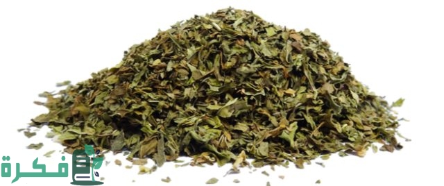 كيف نجفف النعناع