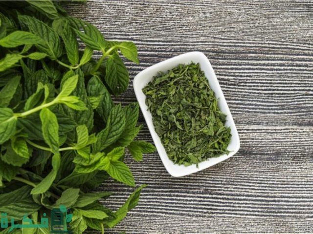 كيف نجفف النعناع