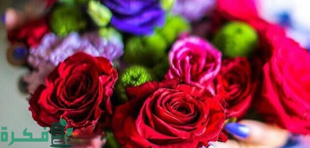 ما الفرق بين سندس واستبرق