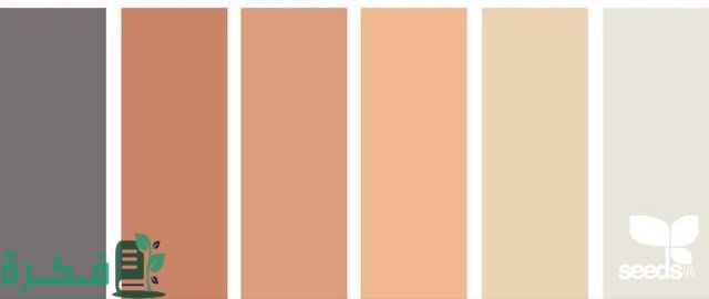 ما هي الالوان الترابية ودرجاتها ما هي الالوان الترابية ودرجاتها