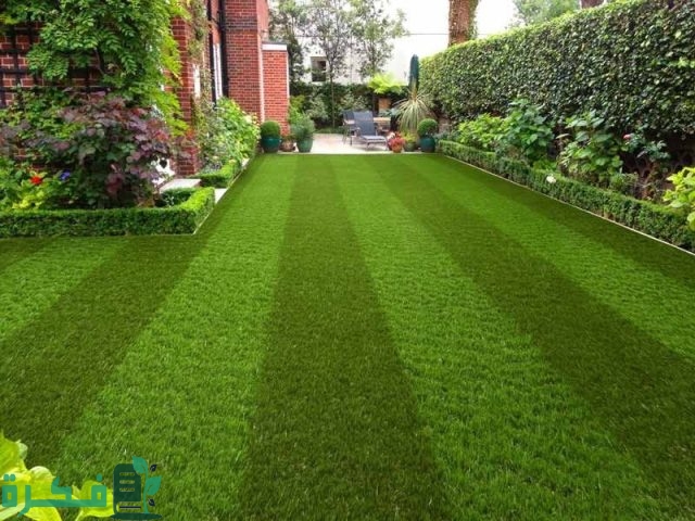 مميزات و عيوب العشب الصناعي للمنازل