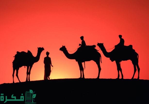 من هو الذي استأجره الرسول وأبو بكر الصديق في الهجرة