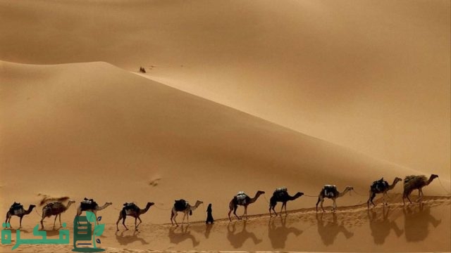 من هو الذي استأجره الرسول وأبو بكر الصديق في الهجرة