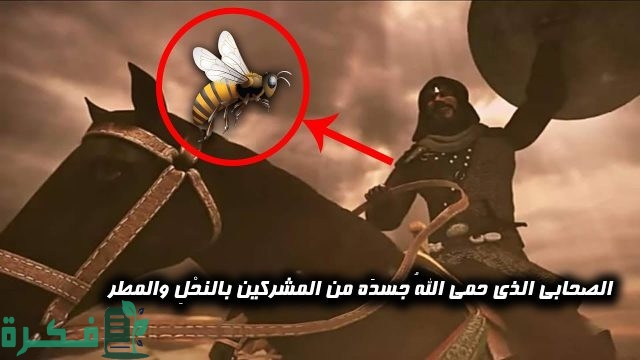 من هو الصحابي الذي حمى الله جسده بجيش من النحل