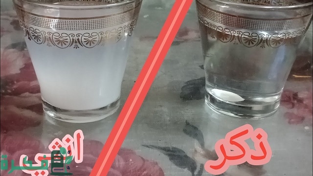 شرح تجربة الحليب لمعرفة نوع الجنين بالصور 5 تجربة الحليب لمعرفة نوع الجنين بالصور