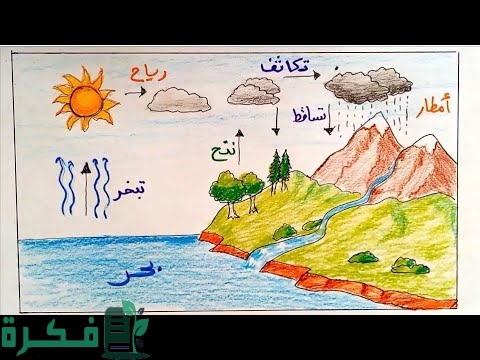 خطوات رسم دورة الماء في الطبيعة للأطفال 3 خطوات رسم دورة الماء في الطبيعة للأطفال