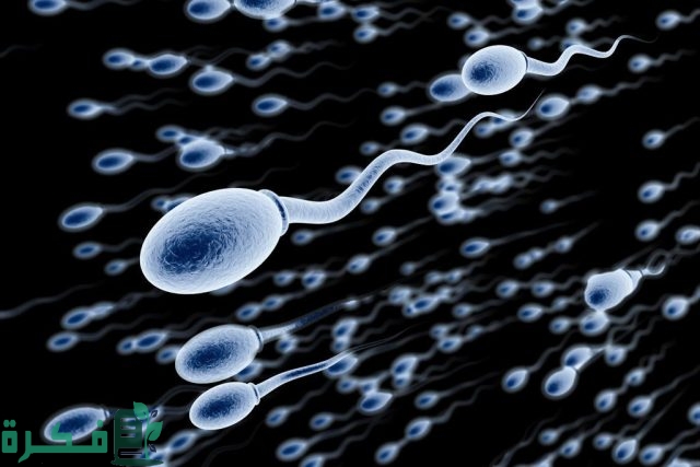 أسباب كثرة مني الرجل