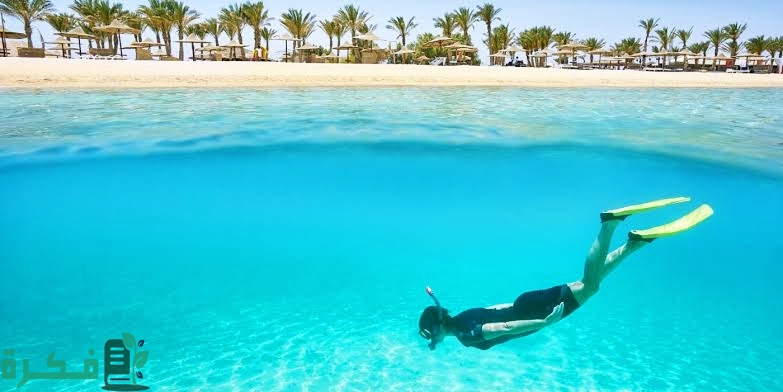 أفضل وقت لزيارة مرسى علم