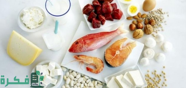 الأطعمة الخالية من الفسفور