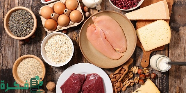 تناول البروتين بدون رياضة لزيادة الوزن؛ 4 أضرار احذر منها 12 تناول البروتين بدون رياضة لزيادة الوزن