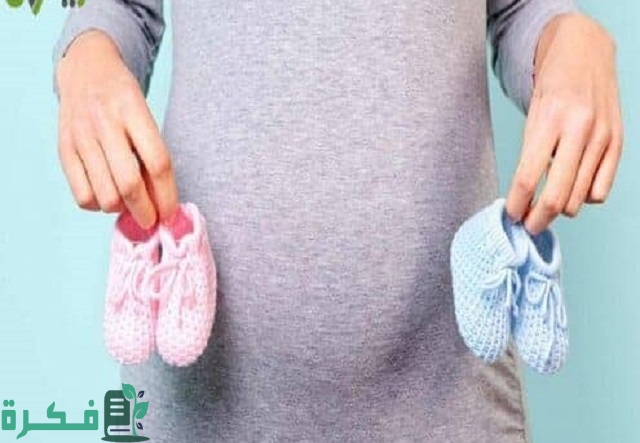 هل ألم المبيض الأيسر من علامات الحمل بولد 1 ألم المبيض الأيسر من علامات الحمل بولد