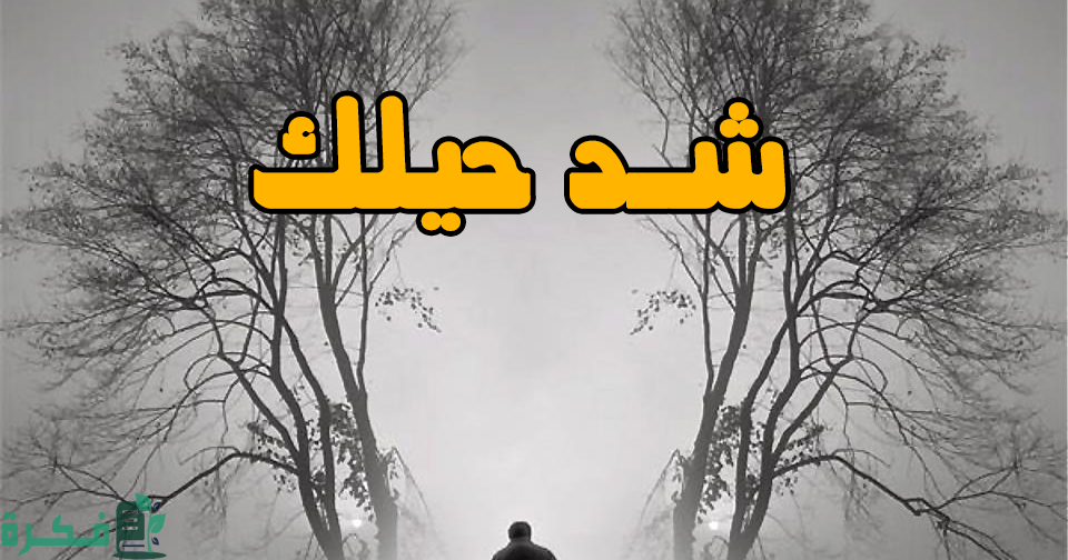 الرد على كلمة شد حيلك