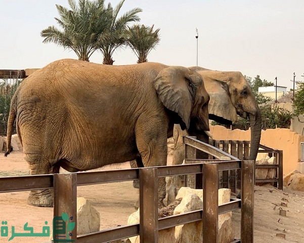 أفضل 10 أماكن ترفيهية للأطفال بالرياض