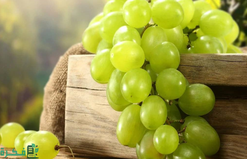 حل لغز أكله حرام وشربه حلال الجواب