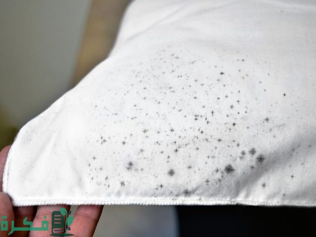 علاج العفن في خزانة الملابس