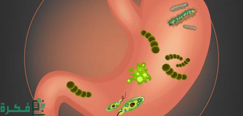 متى تختفي أعراض جرثومة المعدة النفسية 6 متى تختفي أعراض جرثومة المعدة النفسية