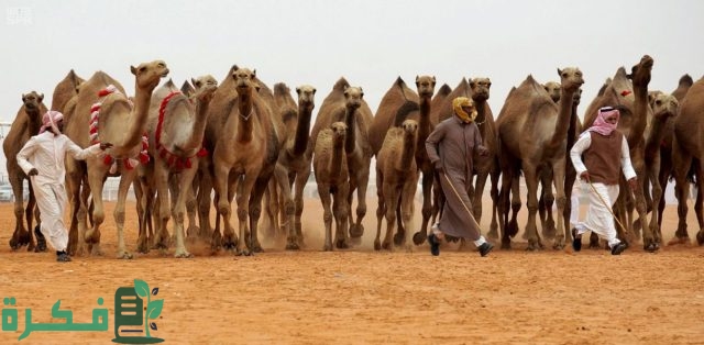 من هي قبيلة طي وأنسابها