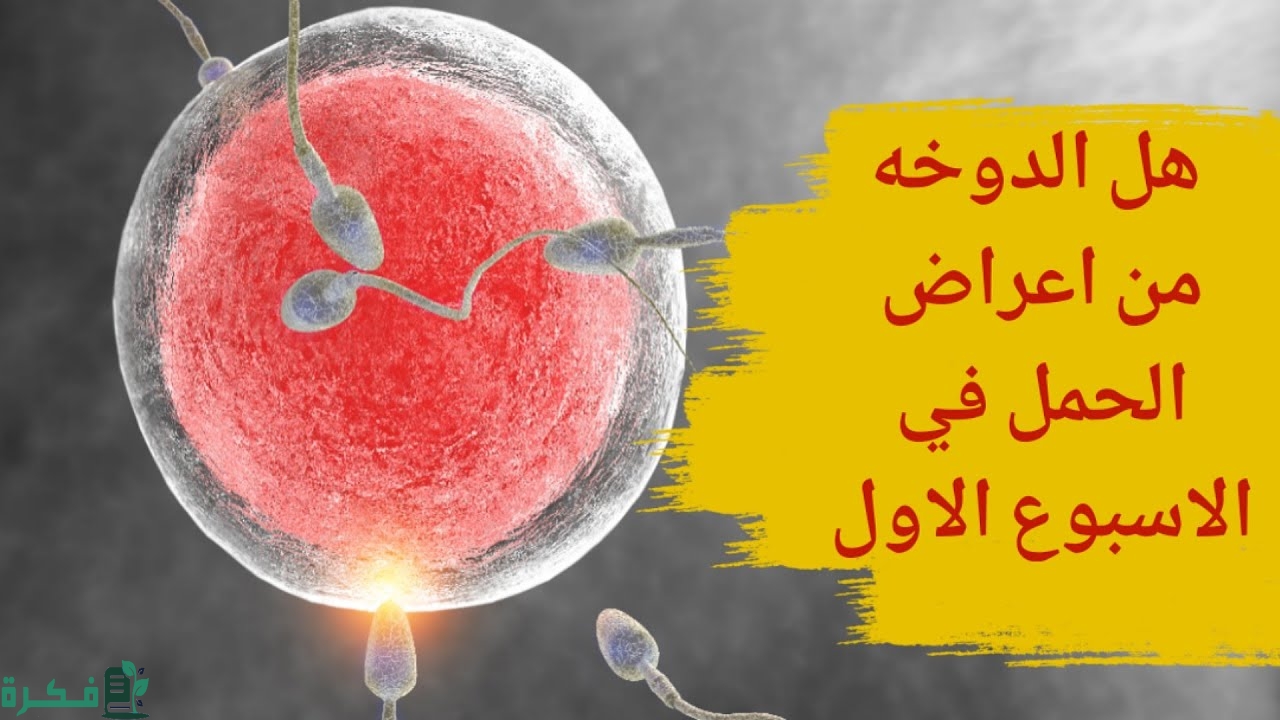 هل الدوخة من أعراض الحمل في الأسبوع الأول