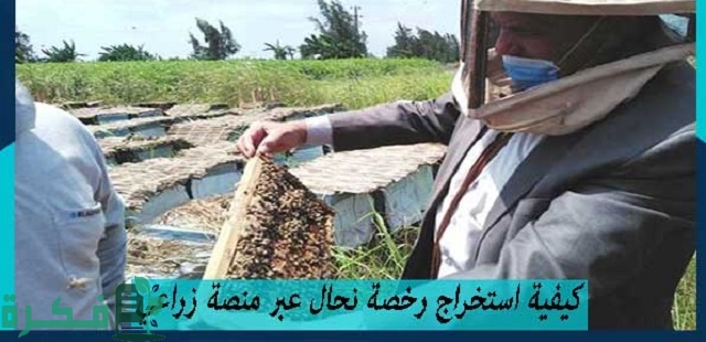 كيفية استخراج رخصة نحال عبر منصة زراعي 1444