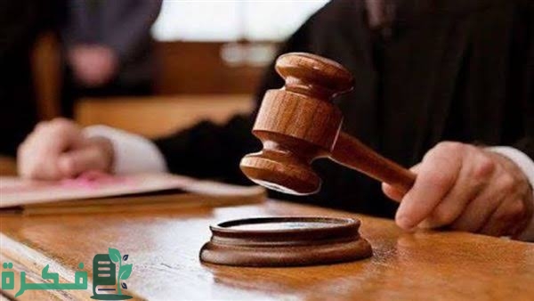 images 2023 07 04T235539.372