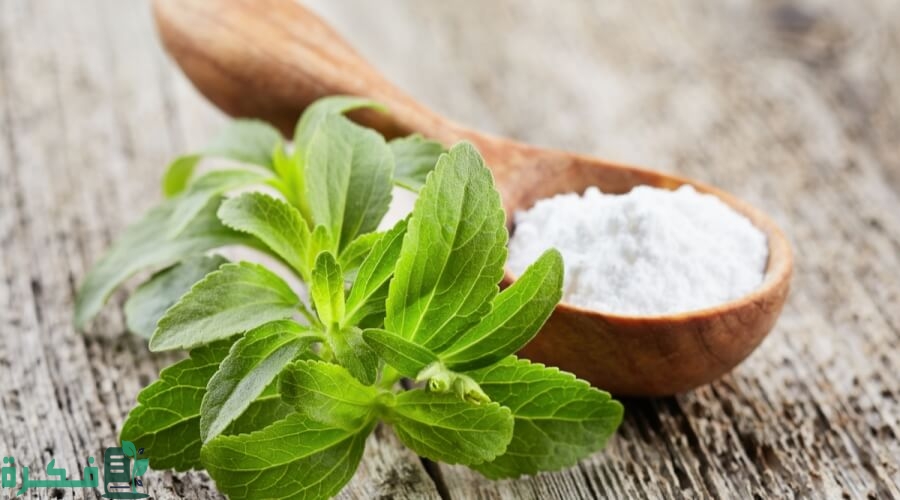 الفرق بين سكر ستيفيا وستيفيانا