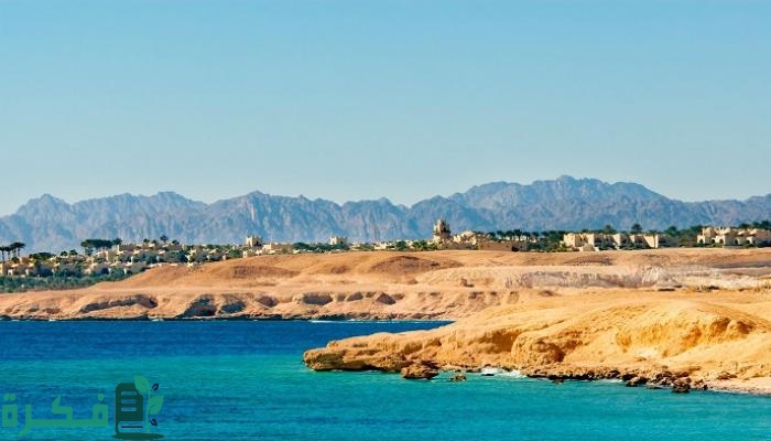 كل ما يهمك عن السياحة في مدينة سفاجا