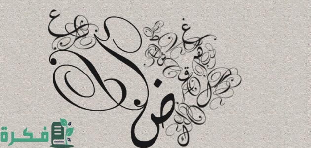 هل تحذف ياء الاسم المنقوص إذا كان منصوبًا مثل قولنا رأيت قاضٍ