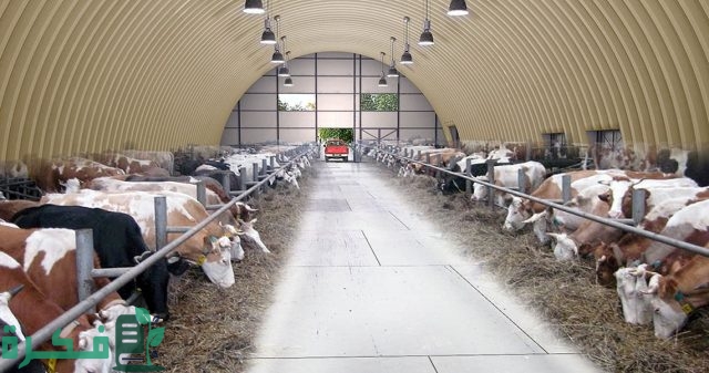 أفضل 15 مشروع ب 5 مليون 2024