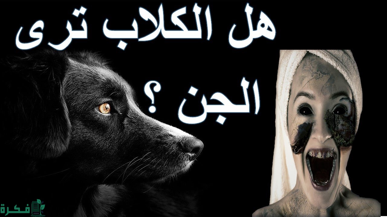 هل الكلاب ترى الجن؟