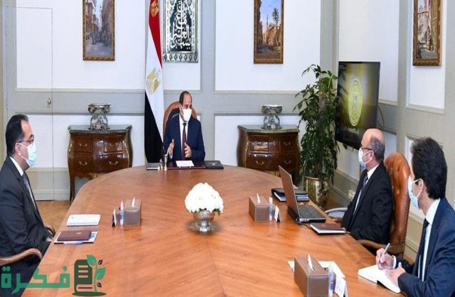 مجلس الوزراء يحدد الجهات المسموح لها العمل "أونلاين" يوم الأحد