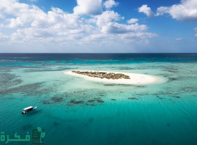 images 2023 08 22T022451.099