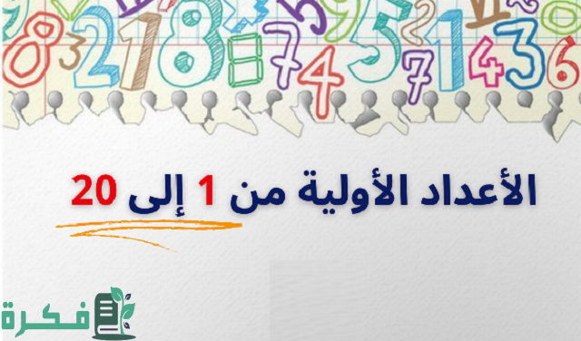 كم عدد الأعداد الأولية من 1 إلى 20؟