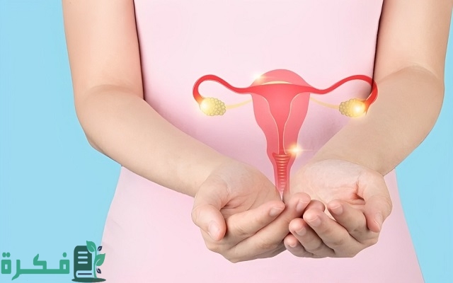 هل يمكن علاج تكيس المبايض بالحجامة 1 هل يمكن علاج تكيس المبايض بالحجامة؟