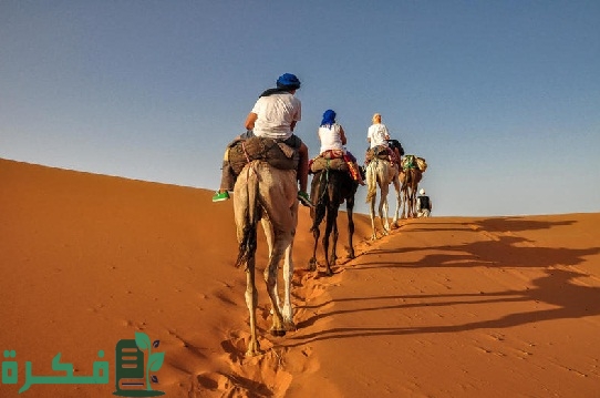 نسب وأصل عائلة آل بو مهير في عمان 5 ما هو أصل ونسب عائلة آل بو مهير في عمان