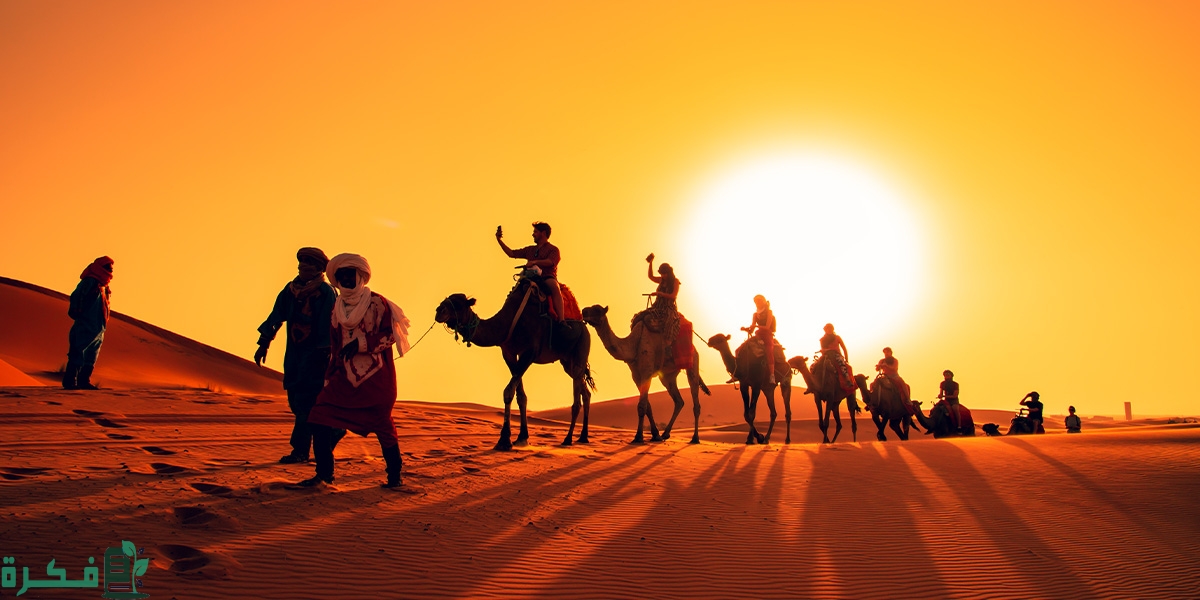 ما هو نسب وأصل عائلة النتيفات