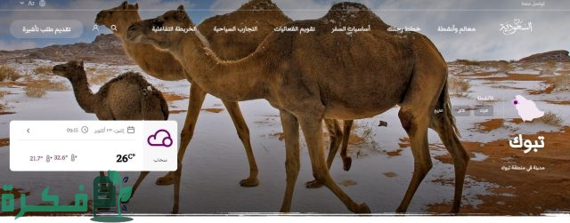 دليل سفاري الرياض