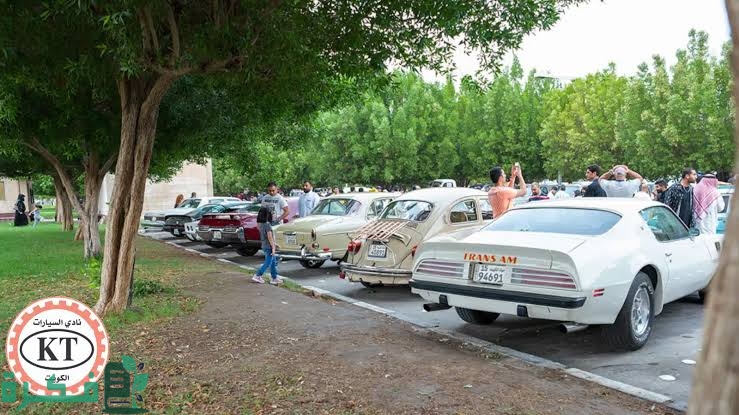 images 2023 10 10T225837.397