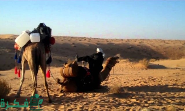 أصل عائلة الحجاج هل يعود الى قبيلة بني تميم 