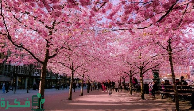 افضل دول للسفر في شهر ابريل