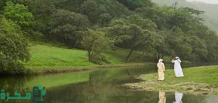 كم نسبة المناطق الخضراء في السعودية